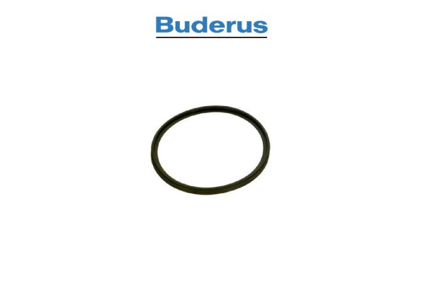                                                     Lippendichtung DN110 - V1/V2 - 7736700057                                                