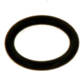 O-Ring 20,22mm x 3,53mm - 7736700695