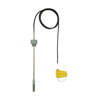 Afriso Grenzwertgeber GWG 12, Einschraubgewinde G 1", Kabel 1,5 m, Nr. 45100