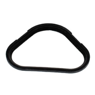 Dichtung für Kondensatsammler und Wärmeblock - 87186510710